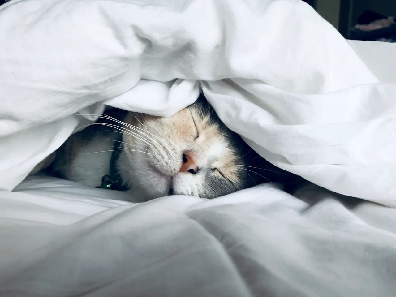 睡不着怎么办？改善睡眠的实用方法
